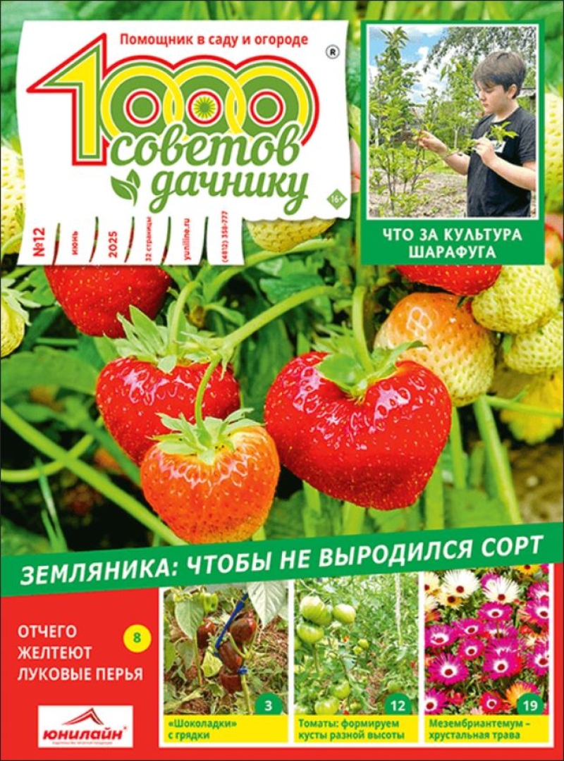 1000 советов дачнику