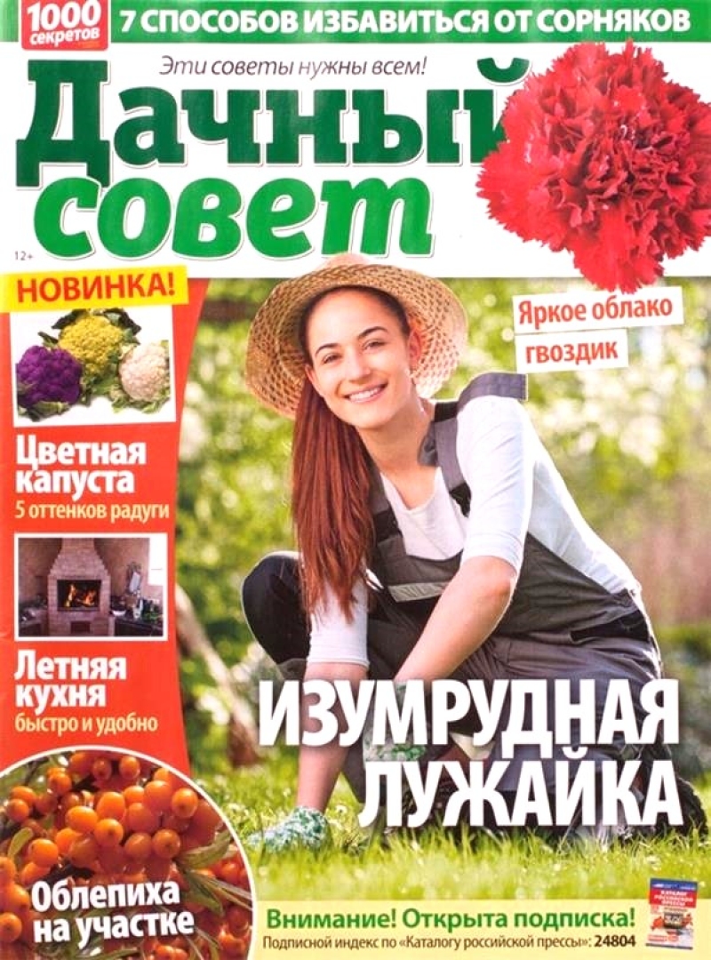 Дачный совет