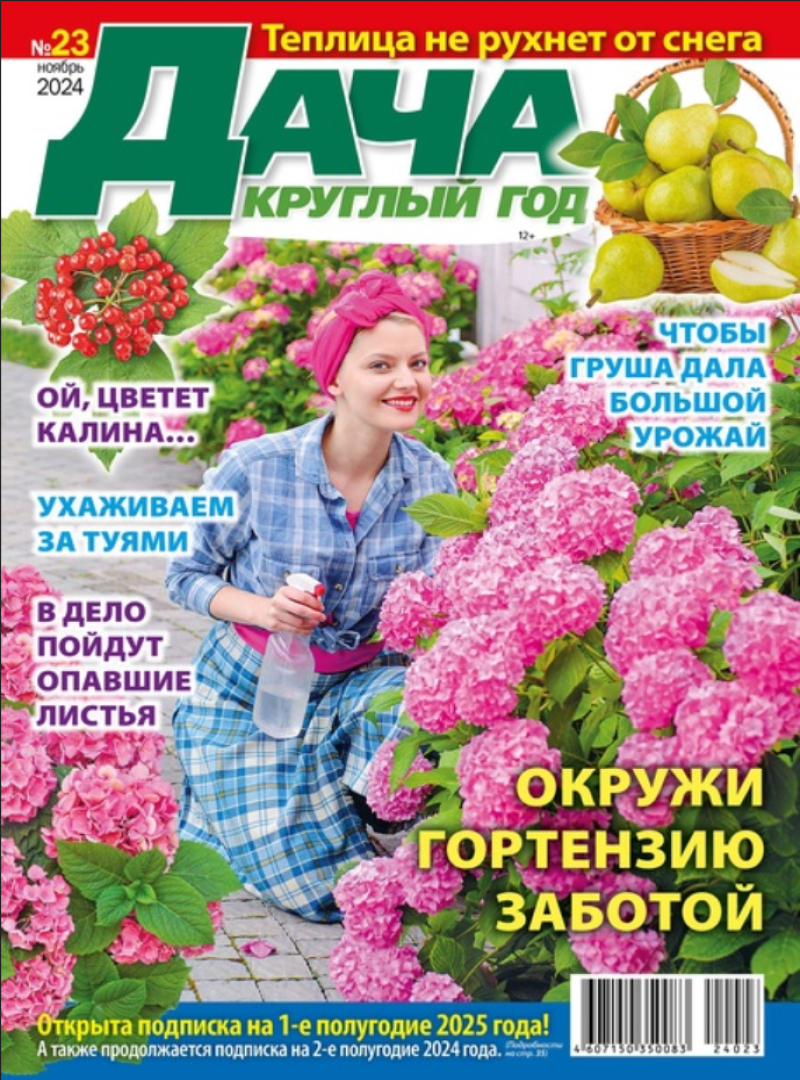 Дача круглый год