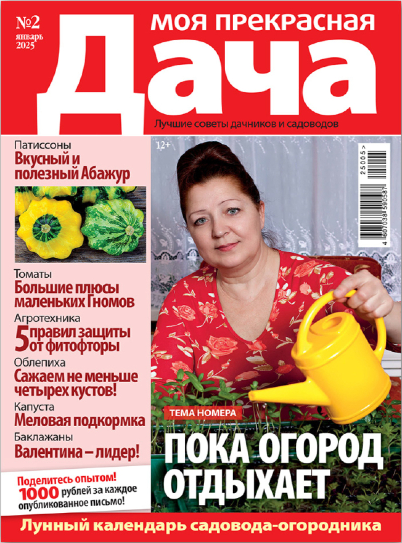 Моя прекрасная дача